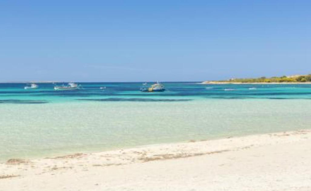 Lugh'e Luna Village * Narbolia